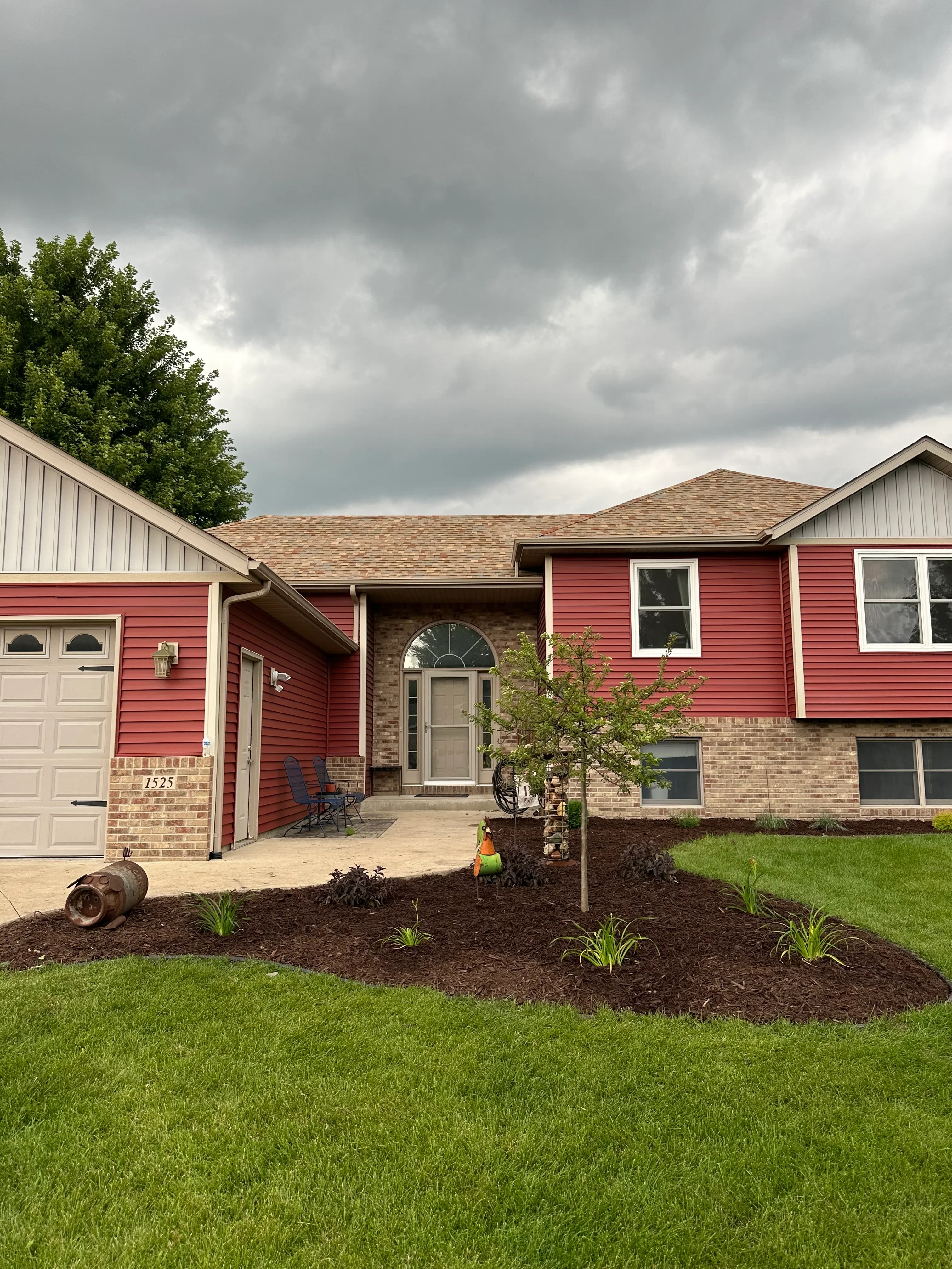 Residential yard with new sod lawn, dark mulch beds, and columnar evergreen shrubs