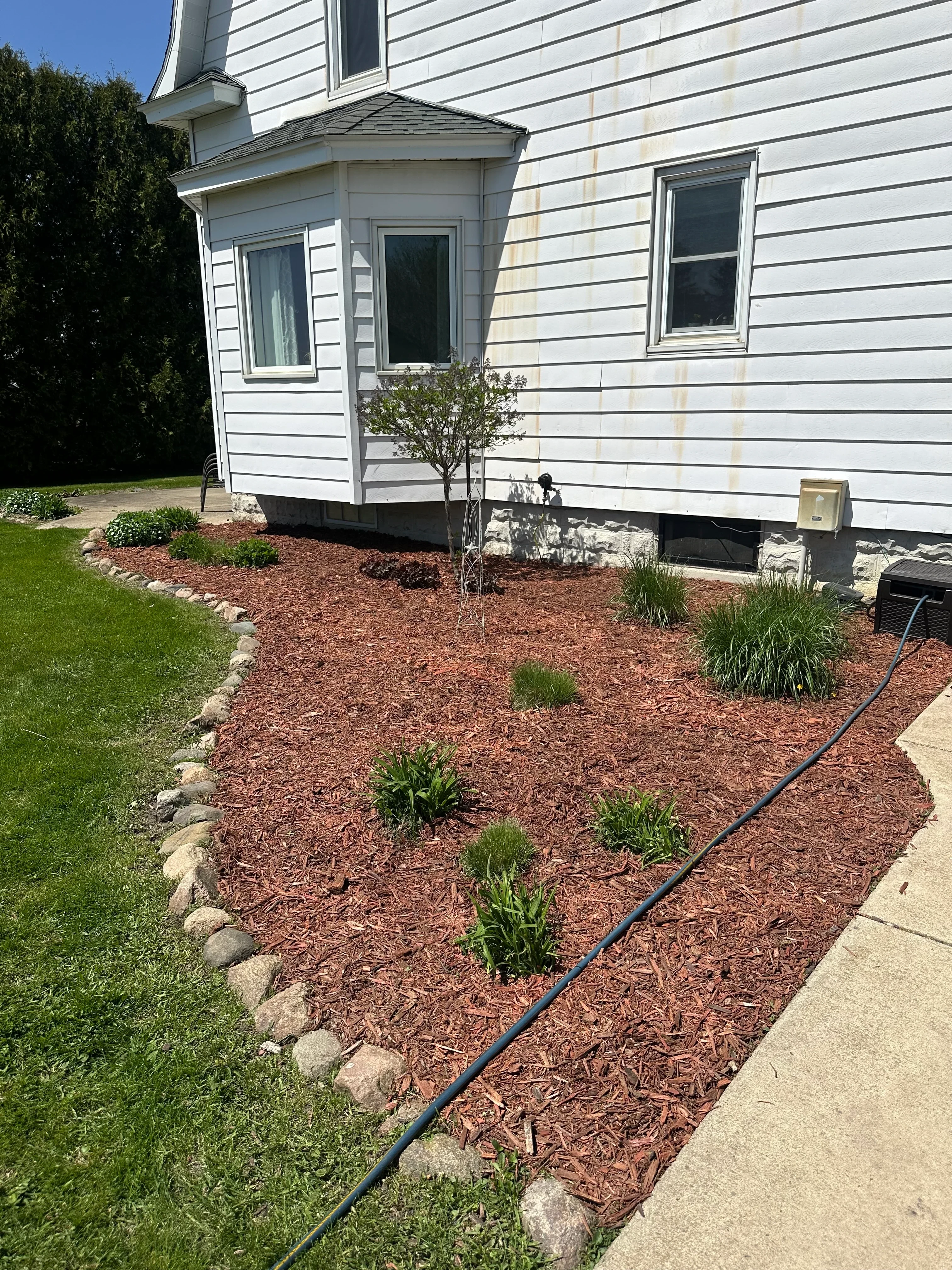Brown mulch landscape bed with ornamental grasses and perennials along house foundation