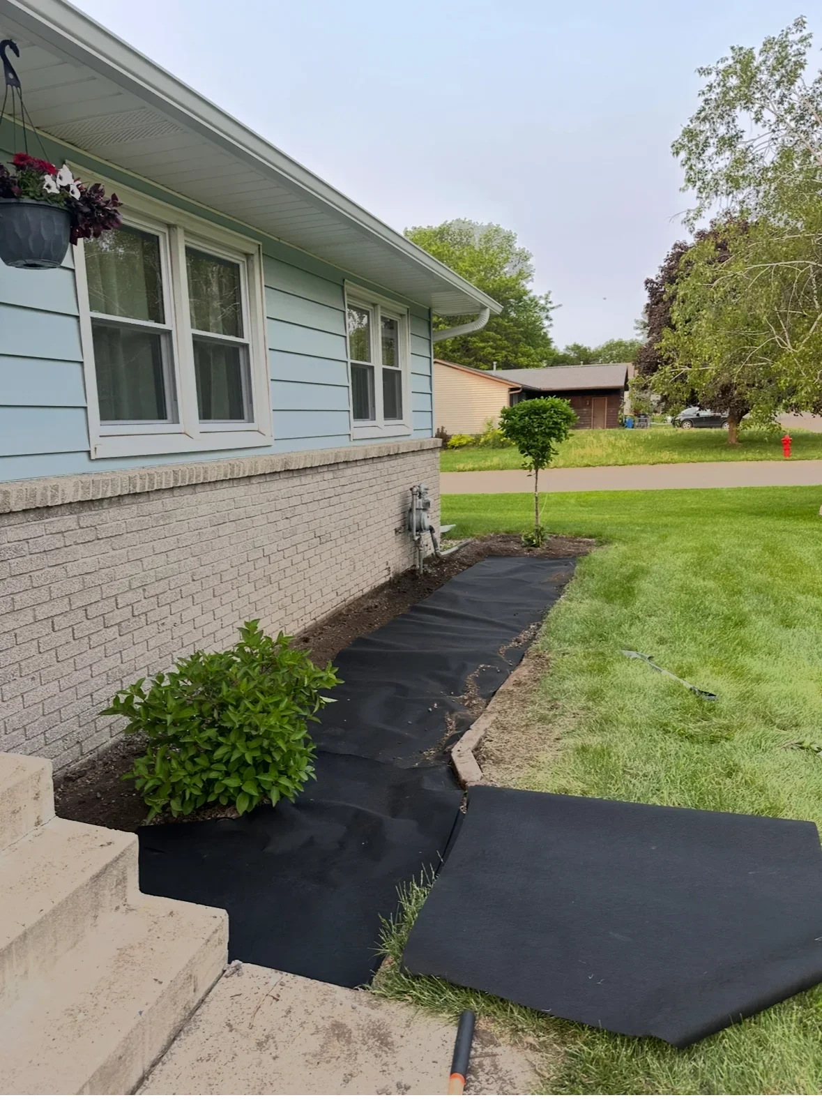 Black drainage fabric and mulch bed installation along brick home foundation with shrub plantings